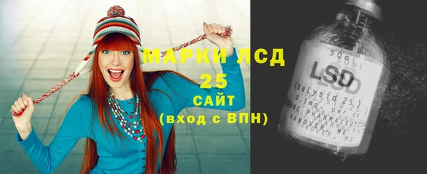 крисы Корсаков