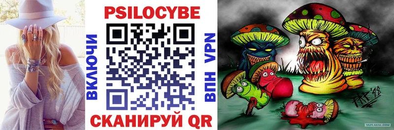 Псилоцибиновые грибы Cubensis  Купить где  Саранск 